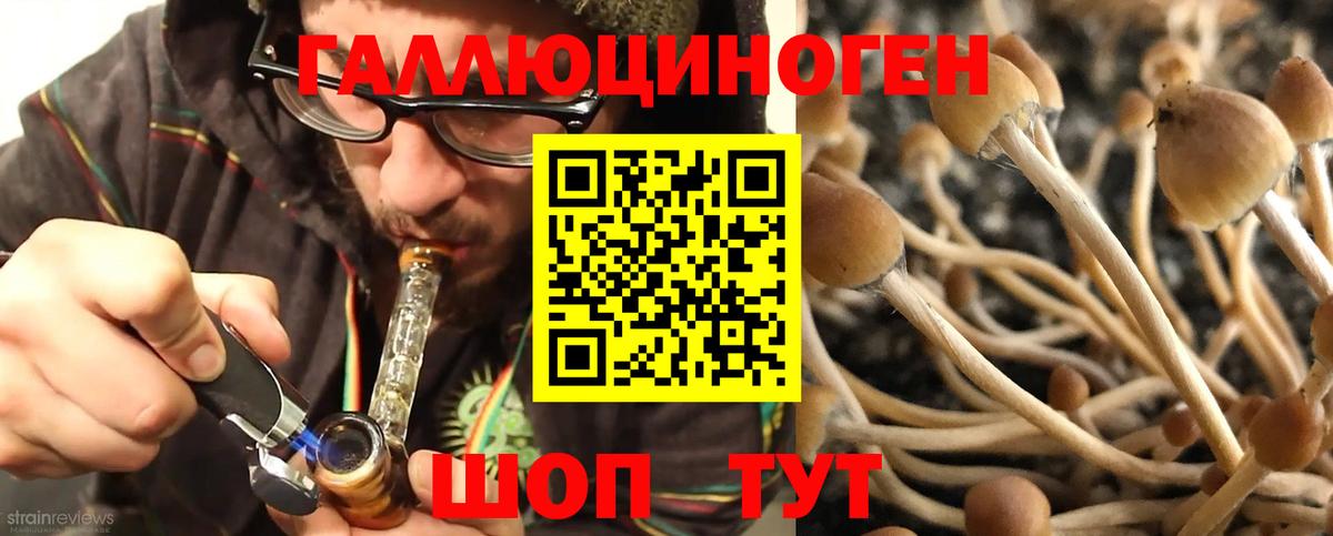 Псилоцибиновые грибы мухоморы Янаул